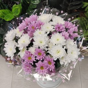  Родники