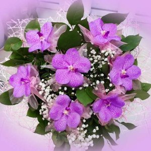  Родники