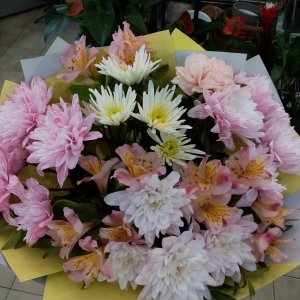  Родники