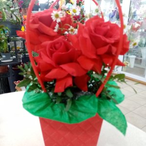  Родники