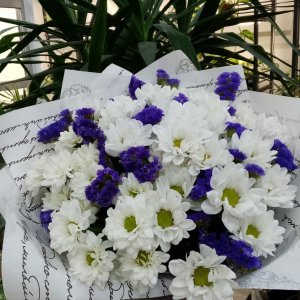  Родники