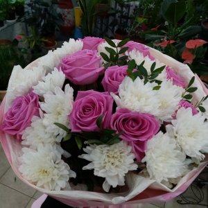  Родники