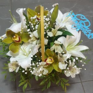  Родники
